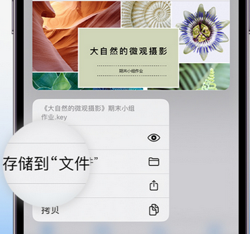 定襄apple维修中心分享iPhone文件应用中存储和找到下载文件