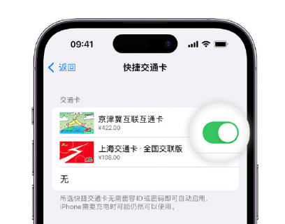 定襄apple维修点分享iPhone上更换Apple Pay快捷交通卡手绘卡面 