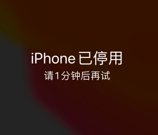 定襄苹果手机维修分享:iPhone 显示“不可用”或“已停用”怎么办？还能保留数据吗？ 