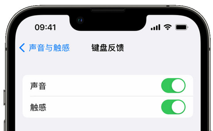 定襄苹果手机维修分享iPhone 14触感键盘使用方法 