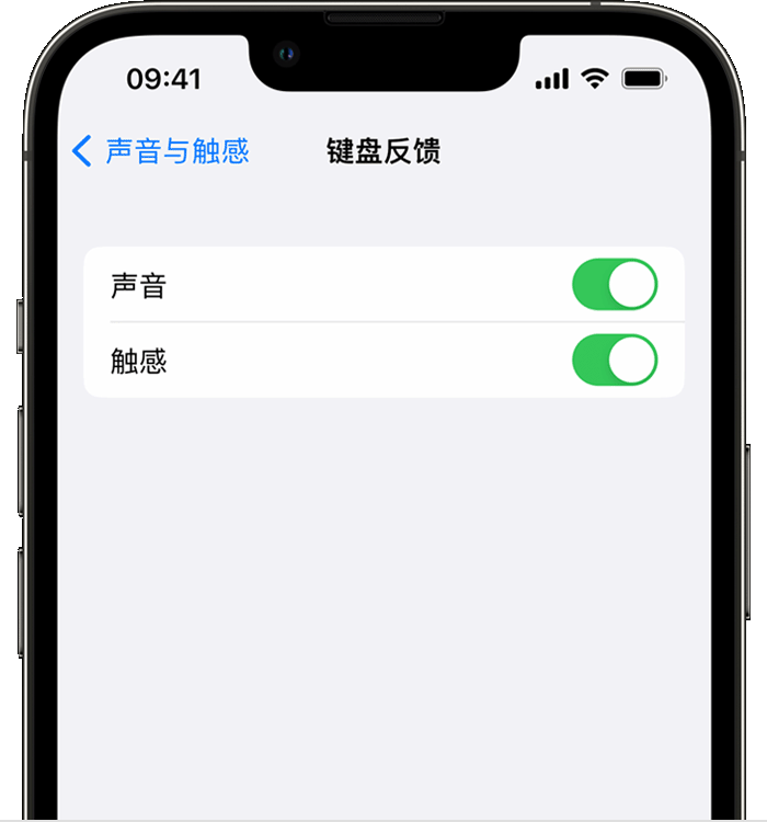 定襄苹果14维修店分享如何在 iPhone 14 机型中使用触感键盘 