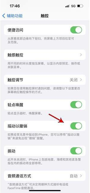 定襄苹果手机维修分享iPhone手机如何设置摇一摇删除文字 