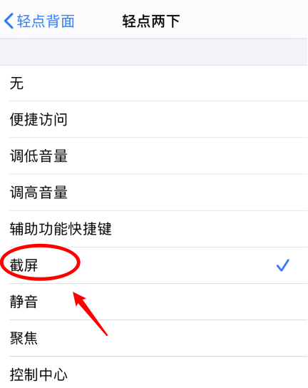 定襄苹果手机维修分享iPhone12如何启用双击截屏 